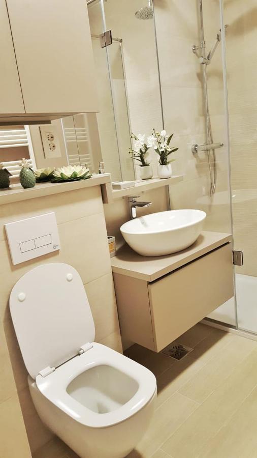 Elias Central Apartment - 2 Bedrooms & Free Parking Oradea Exteriér fotografie